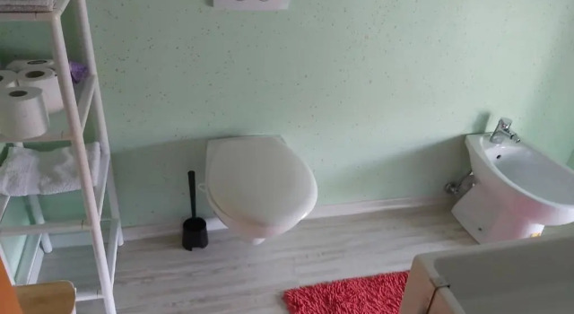 Апартаменты Apartma Silvia