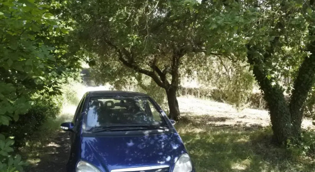 Коттедж Casa vacanza Etna Evergreen