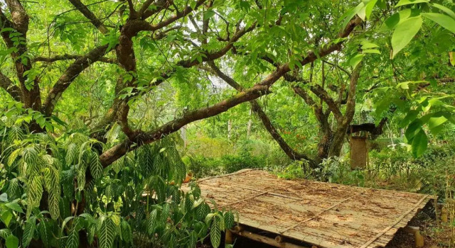 Коттедж c 1 комнатой Aum Hum Homestay