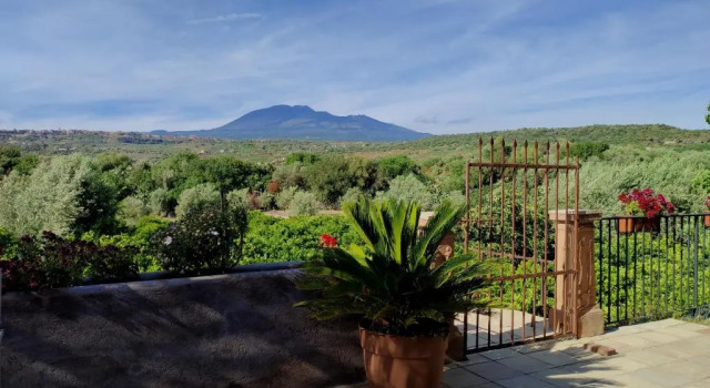 Коттедж c 1 комнатой Lavica - Country Guest House