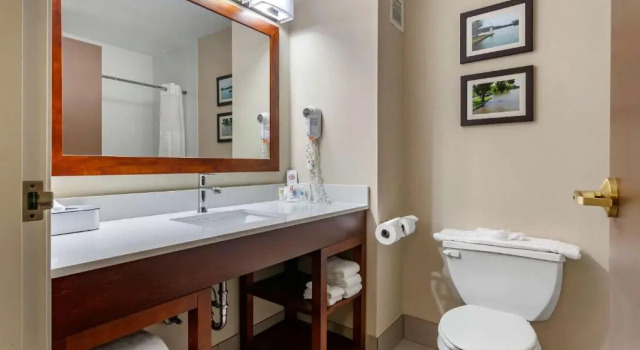 Номер Standard Comfort Inn & Suites Geneva- West Chicago