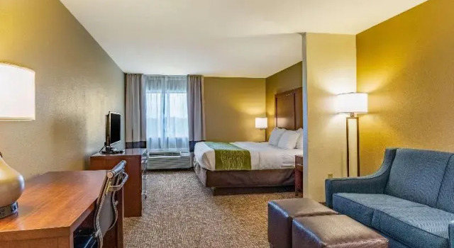Номер Standard Comfort Inn & Suites Tuscumbia-Muscle Shoals