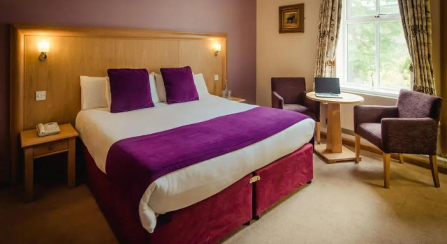 Двухместный номер Classic Roganstown Hotel & Country Club