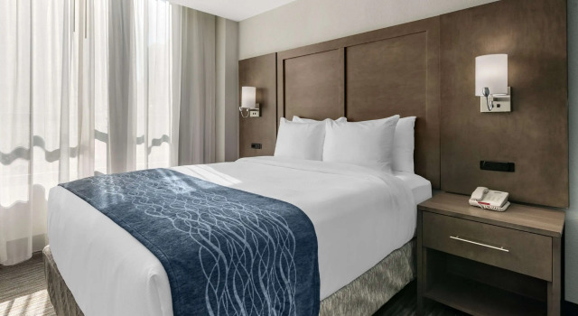 Двухместный номер Comfort Inn & Suites Downtown Brickell-Port of Miami