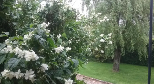 Коттедж Le Bel Isle
