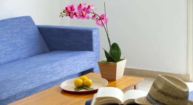 Номер Economy Paloma Hotel Apartments