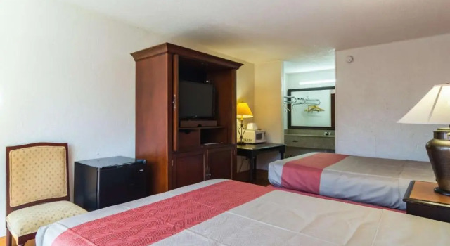 Четырёхместный номер Standard Motel 6 Townsend, GA
