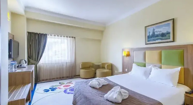 Двухместный люкс с видом на горы Palan Hotel