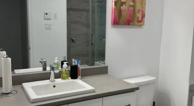 Апартаменты Deluxe Luxury 2 bedroom apartment