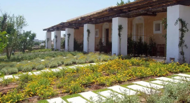 Номер Standard Masseria LAntico Frantoio