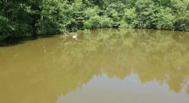 Коттедж Florennes Gîte neuf 150 M2 devant un grand lac privé de 2 hectares poissonneux au milieu des bois