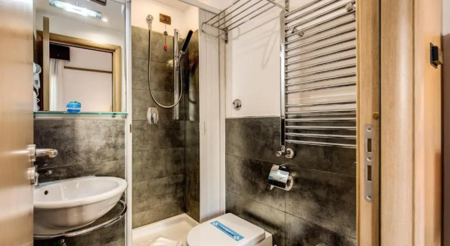Одноместный номер Standard Ginevra Palace Hotel