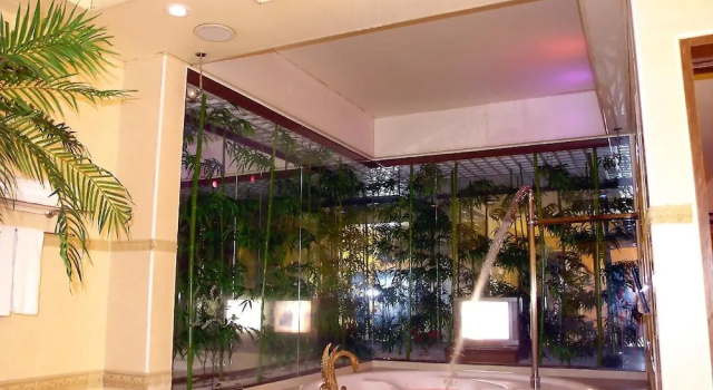 Номер Luxury Swan Lake hotel