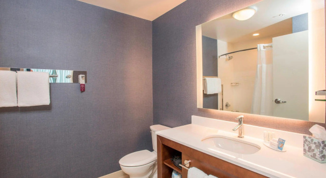 Четырёхместный люкс c 1 комнатой Residence Inn by Marriott Cincinnati Midtown/Rookwood