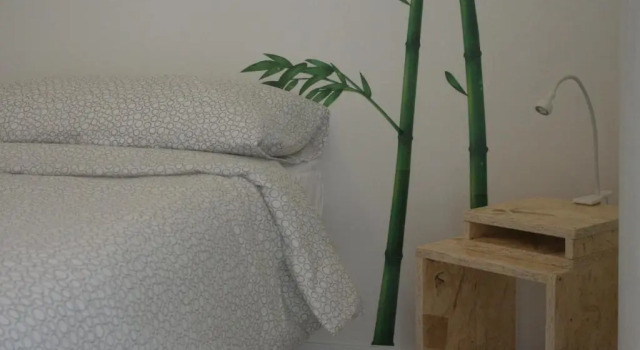 Standard- dobbelt værelse Urban Oasis Hostel