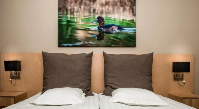 Номер Economy Hestia Hotel Haapsalu Spa