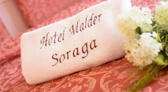 Номер Comfort Hotel Malder
