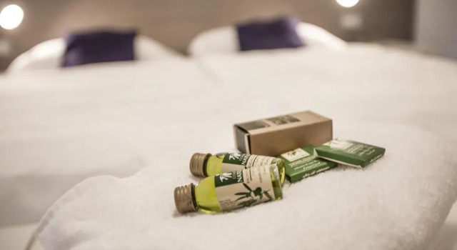 Номер Standard Hotel Roma Aparthotel