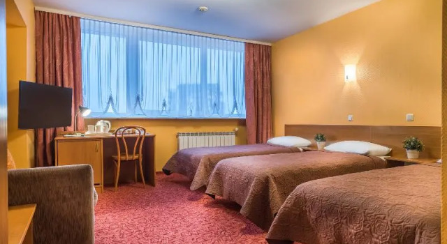 Standardní Jednolůžkový pokoj a výhledem Hotel Zemaites