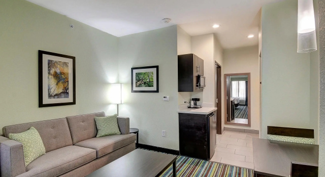 Люкс Holiday Inn Express & Suites Carrizo Springs by IHG
