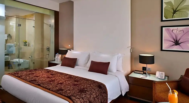 Номер Standard Holiday Inn Chandigarh Panchkula