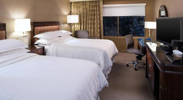 Четырёхместный номер Standard Sheraton Hartford South