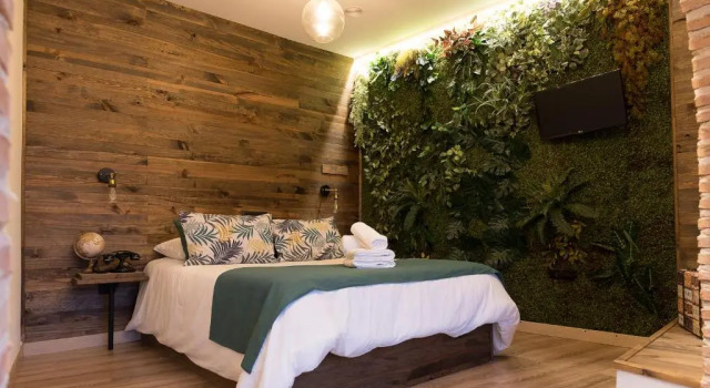 Двухместный номер Standard Hotel Posada de las Cuevas