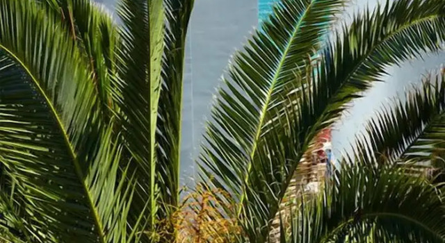 Двухместный номер Standard с балконом и с видом на сад Margarita Sea Side Hotel