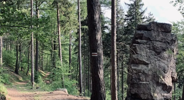 Willa Karkonoska - klimatyczne pokoje i studia z ANEKSAMI KUCHENNYMI - Śniadania Sauna Grota Solna Siłownia Parking WI-FI W CENIE, Забронировать Отель Карпач 