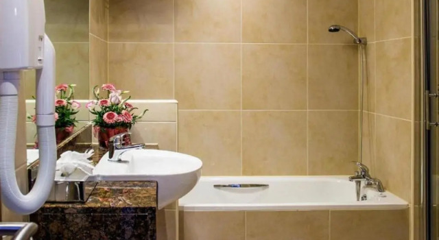 Одноместный номер Standard Riverside Park Hotel