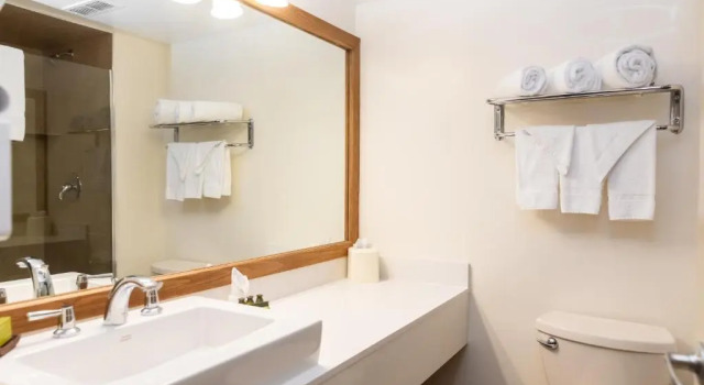 Четырёхместный номер Standard с балконом Hidden Valley Resort, an Ascend Collection Resort