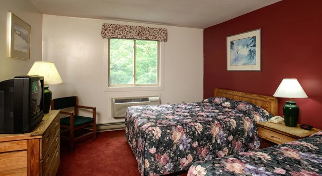 Номер Classic Snowy Owl Inn