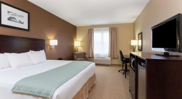 Двухместный номер Standard Holiday Inn Express & Suites Palm Coast - I-95