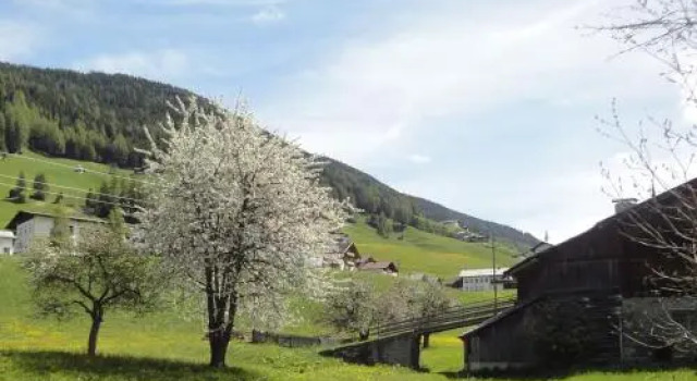 Unterkanterhof Kofler, Prenota Hotel Kartitsch Alta Pusteria