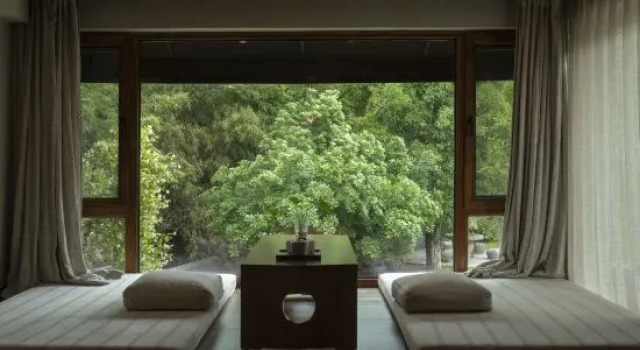 Suite Leafy House