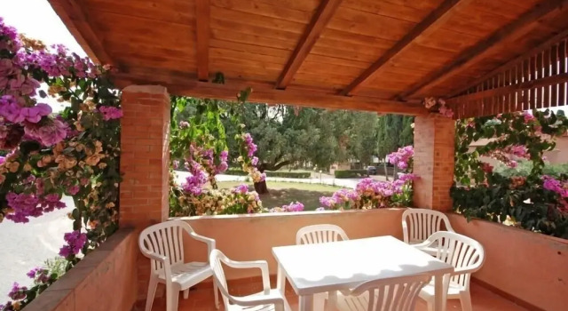 Апартаменты Standard с 2 комнатами Fattoria di Casalappi