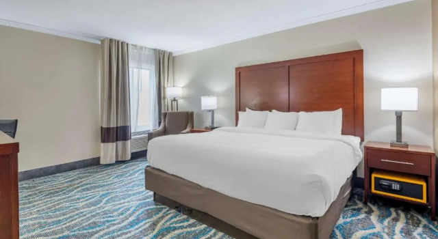 Номер Standard Comfort Inn Asheville East-Blue Ridge Pkwy Access