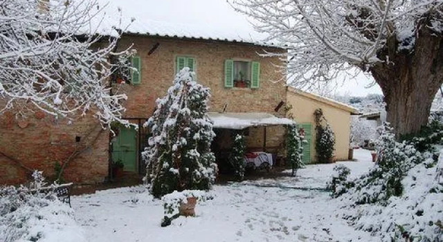 Tenuta il Pino