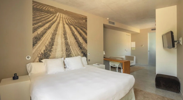 Двухместный номер Deluxe Hotel Viura