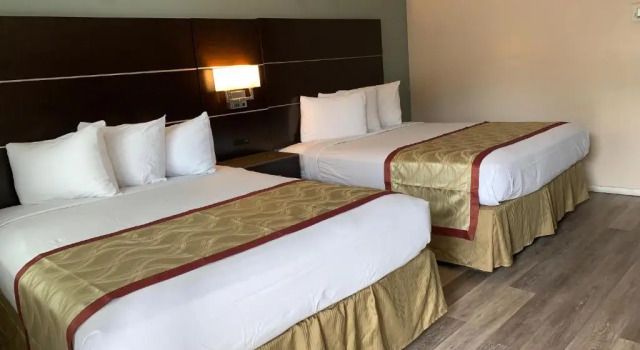 Четырёхместный номер Standard Olive Tree Inn & Suites, a Howard Johnson by Wyndham