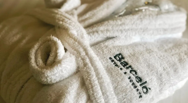 Полулюкс Barceló Warsaw Powiśle