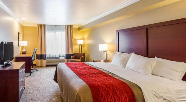 Одноместный номер Standard Comfort Inn Arcata