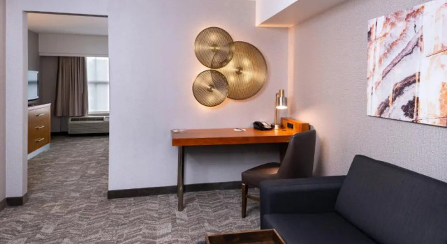 Двухместный люкс Executive c 1 комнатой SpringHill Suites by Marriott Pittsburgh North Shore