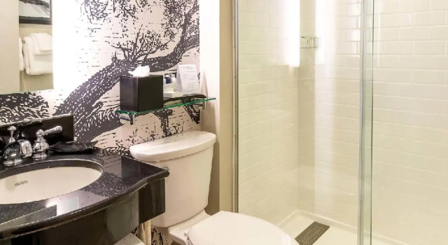 Двухместный номер Standard Williamsburg Lodge, Autograph Collection