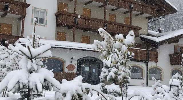 Alpine Touring Hotel-petfriendly, Забронировать Отель Поцца-ди-Фасса Долина Валь-ди-Фасса