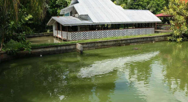 Jconfarm, Book Hotel Dapitan Mindanao