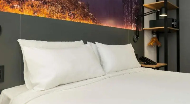 Номер Standard Novotel Criciuma