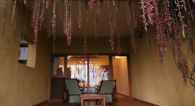 Номер Standard Nisarg Resort