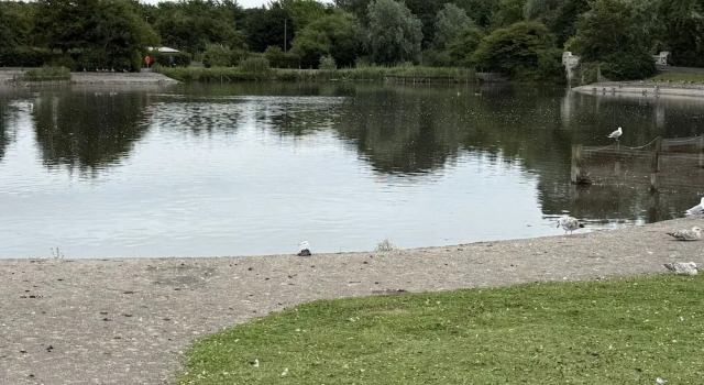 Коттедж The Furness Haven