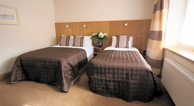 Номер Standard Blooms Hotel